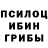 Галлюциногенные грибы мицелий LUCSATARION