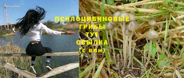 эйфоретик Алексеевка