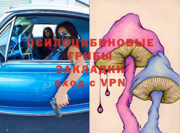 spice Алексин