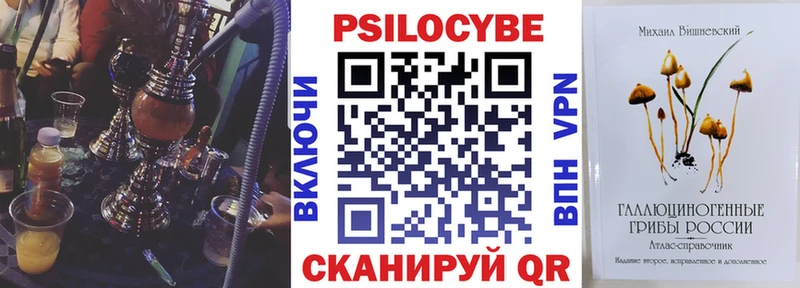 МЕГА ССЫЛКА  Норильск  Псилоцибиновые грибы мухоморы  купить закладку 